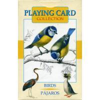 Cartas Pajaros (54 Cartas Juego - Playing Card) (Lo...