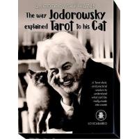 Tarot The way Jodorowsky explained Tarot To his Cat -...