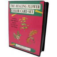 Tarot coleccion The Healing Flower Color Card - Ingrid Kraaz (Set) (EN) (AGM)