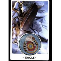 Tarot coleccion White Eagle Medicine Wheel -...