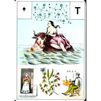 Tarot coleccion Grand Jeu de Mlle Lenormand (Set - 54...