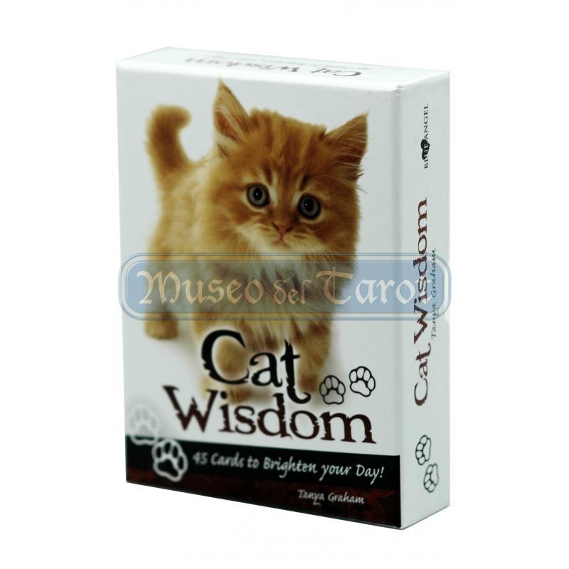 Oraculo Cat Wisdom Cards (Set) (45 Cartas) (En) (Usg)(HAS)