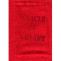 Oraculo Voyant  (51 Cartas Pocket) (En) (HAS)