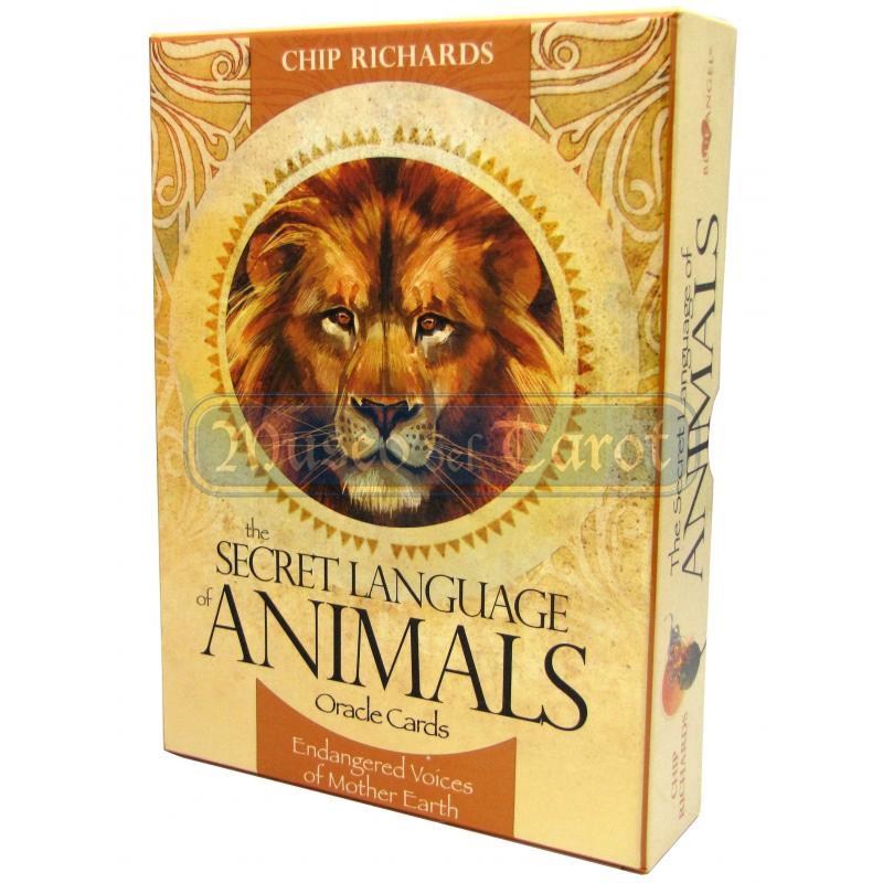 Oraculo Secret Language of Animals (Set) (46 cartas) (En) (Usg) (Bla)